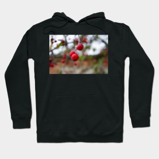 Crab apple crabapple thanksgiving Hoodie